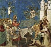 GIOTTO di Bondone Entry into Jerusalem oil painting artist